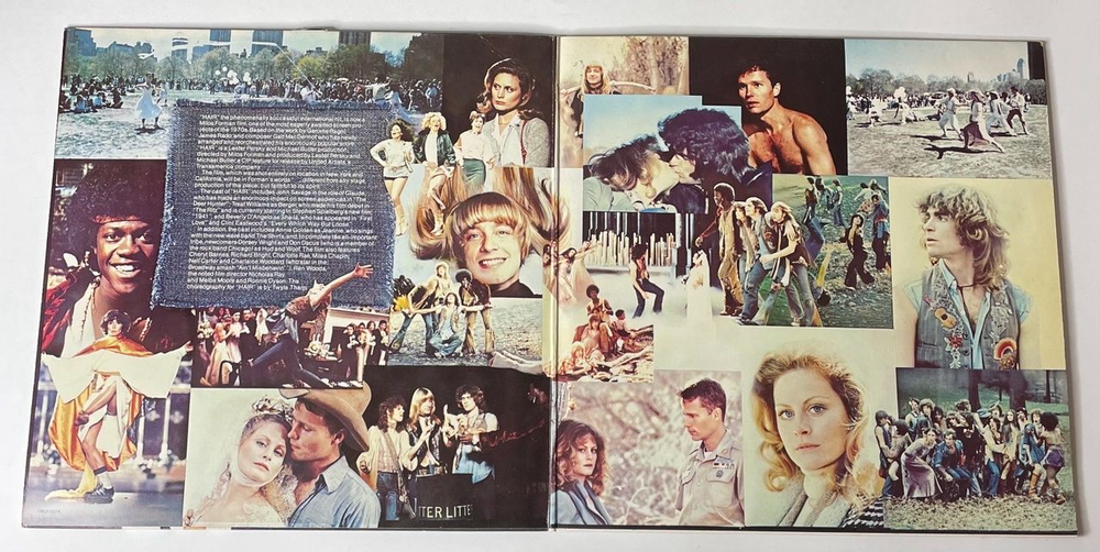 Винтажная виниловая пластинка LP Galt MacDermot Hair Волосы Мюзикл (Soundtrack Recording) (Germany 1979)