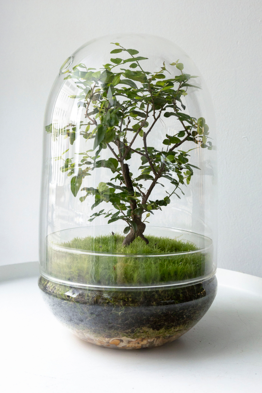 Экосистема Shell