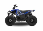 Квадроцикл SHARMAX Cross 200
