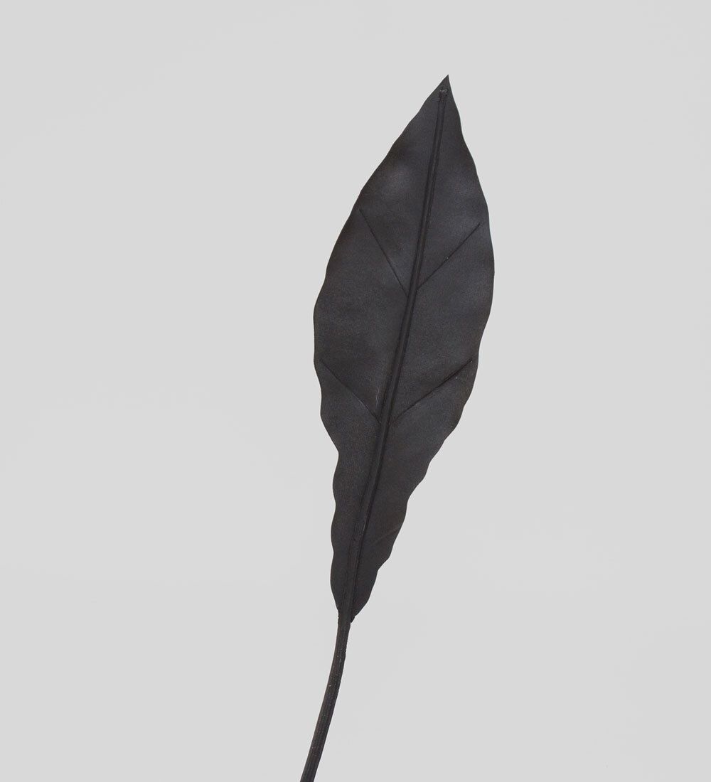 TR 605S Антуриум