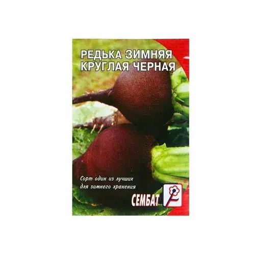 Редька Зимняя круглая черная 3г
