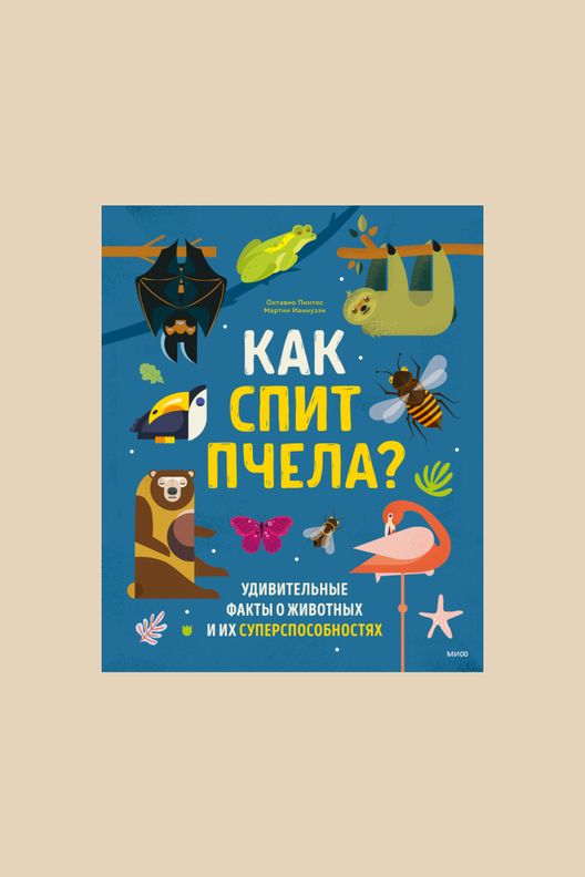Книга "Как спит пчела" / МИФ