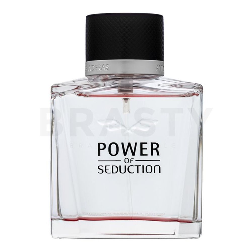 Antonio Banderas Power of Seduction EDT M 100 ml