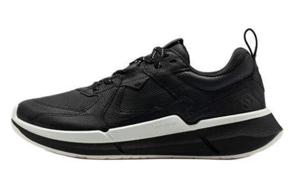Ecco Biom 2 0