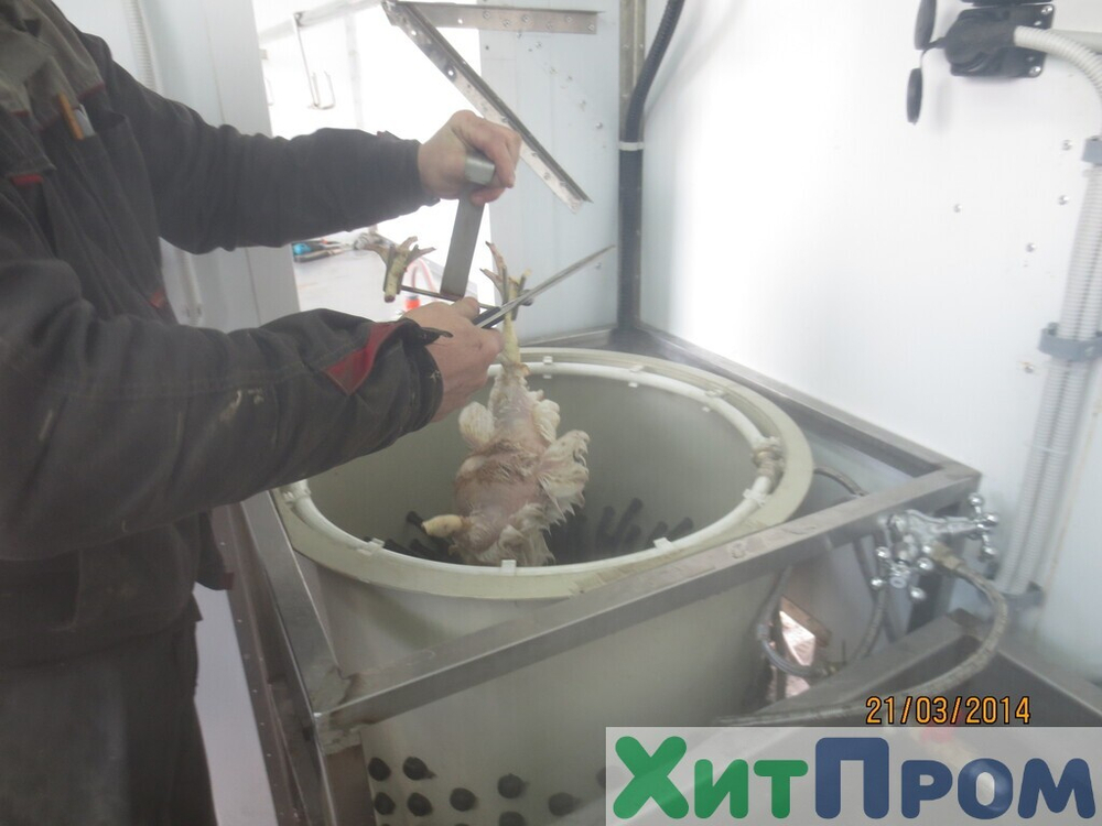 Линия убоя бройлера и несушки до 120 голов/час с вакуумным потрошением. Краснодарский край
