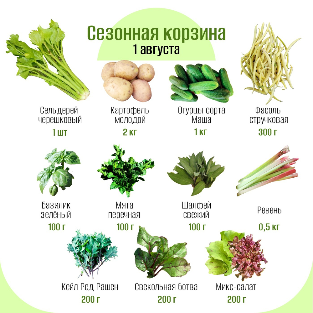 Сезонная корзина