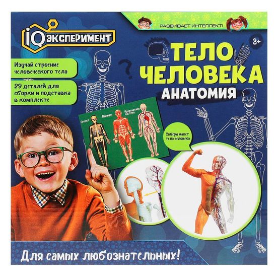 Игрушка опыты тело человека IQ Эксперимент
