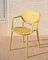 Стул Morella желтый