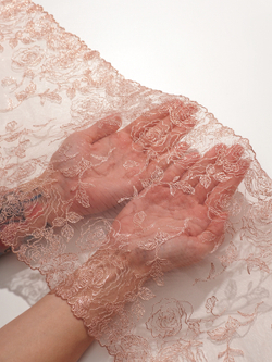 Кружево вышивка на сетке пудровая с люрексом розовое золото неэластичная ширина 24 см