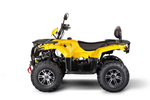 Квадроцикл IRBIS ATV 200 PREMIUM (Желтый)