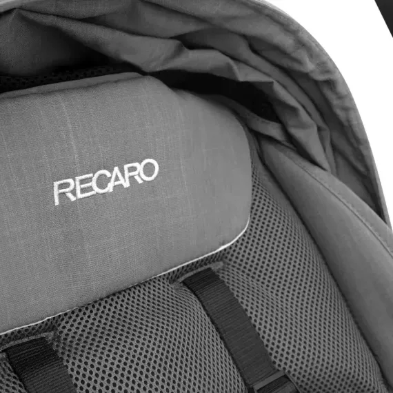 Прогулочная коляска Recaro Lexa Elite Prime Silent Grey