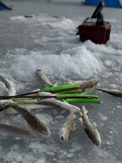 Удилище HIGASHI Combo Fina Fluo Green