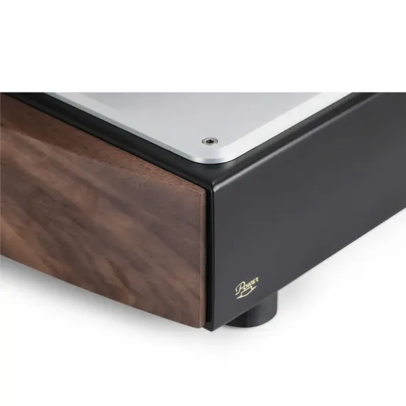 Mastersound 845 Monoblock Black Wood