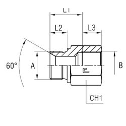 Соединение PF BSP 1/8 - BSP 1/8 L30