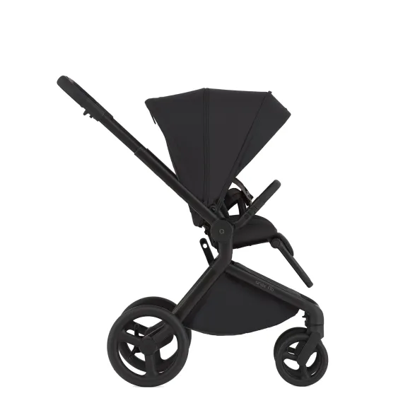 Коляска ANEX Flo 3 в 1 Lungo