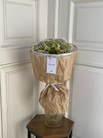 Ромашки в оформлении