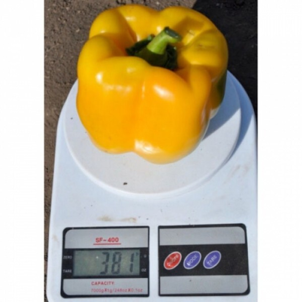 Перец Эспартано F1 7шт ВитаГрин ЭКСТРА