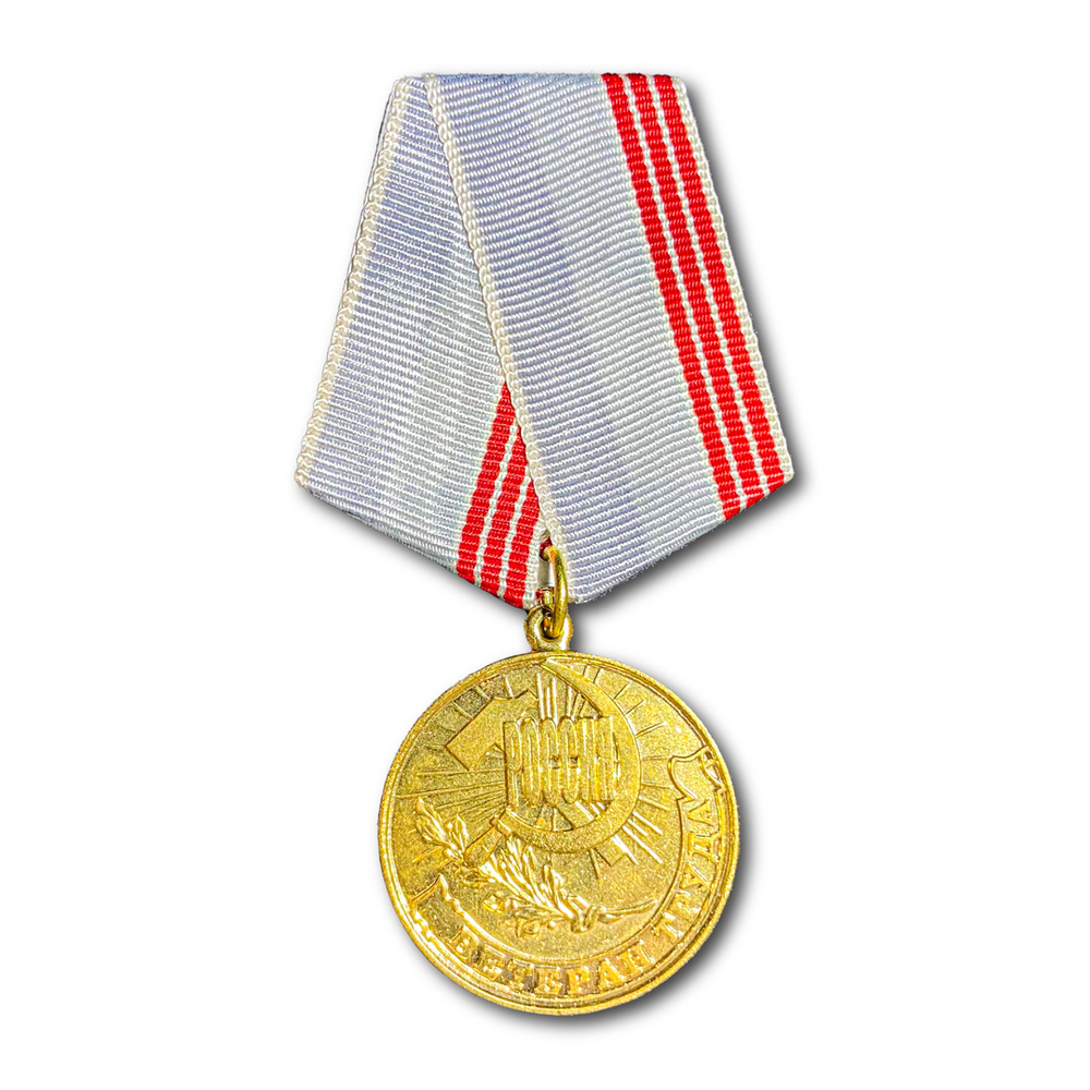 Медаль Ветеран Труда России | ATRIBUTICASTORE.RU