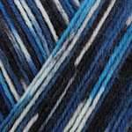 Regia Design Line 4 ply - 03891 (breivikbotn color)