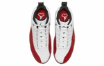 Кроссовки Jordan Air Jordan 12 Low Golf