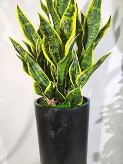 Сансевиерия искусственная 120см в высоком черном кашпо