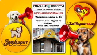Масленникова д. 80