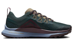 Кроссовки Nike Pegasus Trail 4 (Женская размерная сетка)
