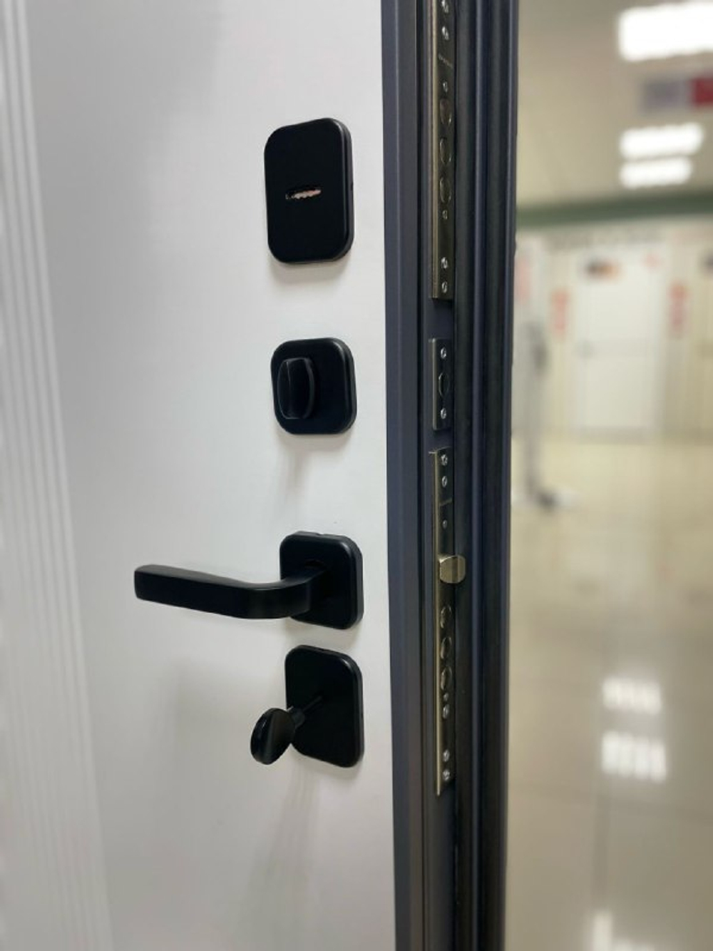 Дверь входная Аляска ручка штанга THERMO