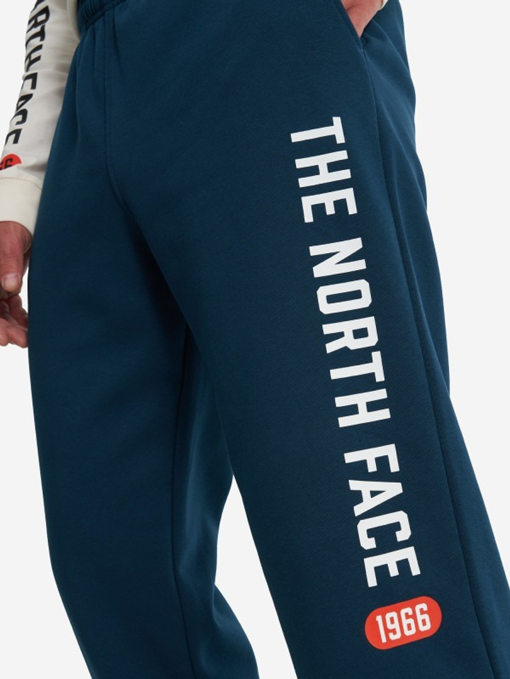 Брюки спортивные мужские THE NORTH FACE M PANT VARSITY GRAPHIC