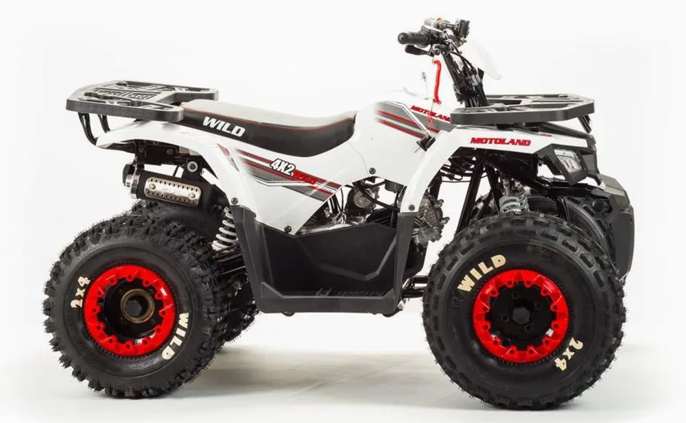 Квадроцикл MOTOLAND (МОТОЛЕНД) 125 WILD