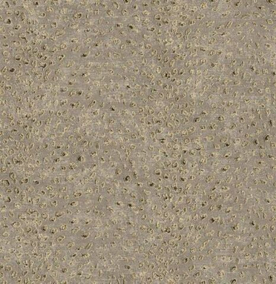 Имитация шкур леопарда в фантазийном гламурном исполнении. Фольга, матовая основа.