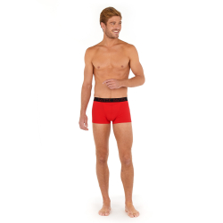 Мужские трусы боксеры набор из 2-х штук (красные,черные) HOM BOXERLINES #2 Boxer Briefs HO1 2p 400405_40D045