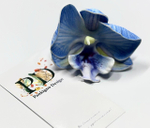 Заколка - зажим Pankigno Design с орхидеей Light Blue Limited
