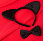 Эротический набор для двоих «Территория соблазна. Женщина-кошка» (Цвет: черный с красным)