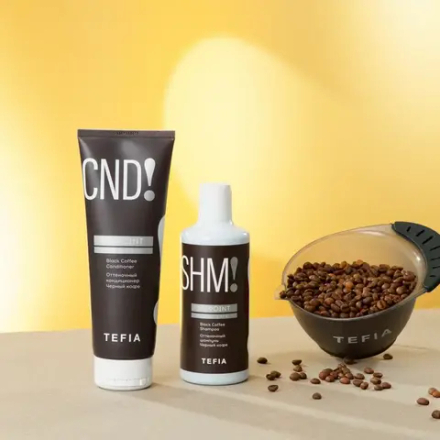 Оттеночный кондиционер Черный кофе Mypoint Tefia Color Care Black Coffee Conditioner, 300 мл