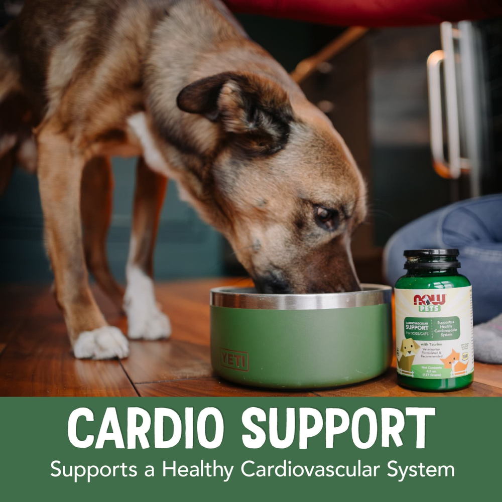 NOW Foods, Pets, добавка для кошек и собак для поддержки сердечно-сосудистой системы, 127 г (4,5 унции)