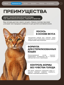 Корм сухой для стерилизованных кошек породы Абиссинская, с лососем, 2 кг, QUATTRO