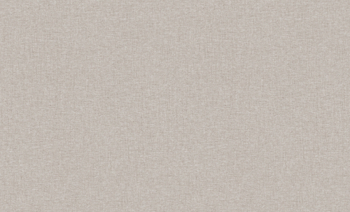 Erismann 60989-07 Basic Skandi