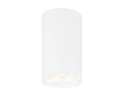 Ambrella Накладной точечный светильник GU10 Cup TN213133