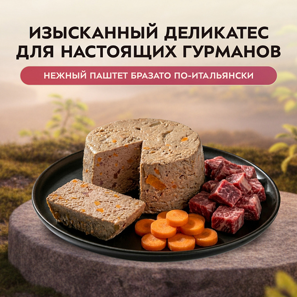 Влажный корм консервы для собак всех пород Деликатес "Бразато по-итальянски" паштет из говядины с морковью Мнямс 0,2кг 12 шт