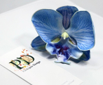 Брошь с заколкой Pankigno Design Limited Edition Light Blue
