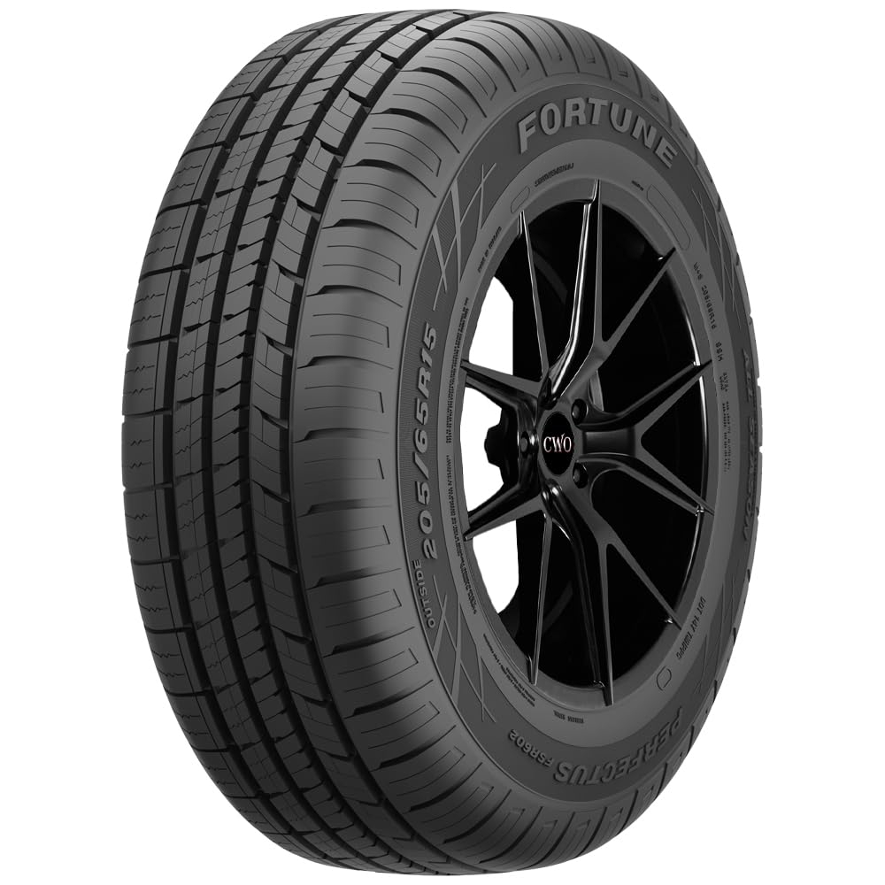 Летняя шина Fortune Perfectus FSR602 (195/50 R15 86V)