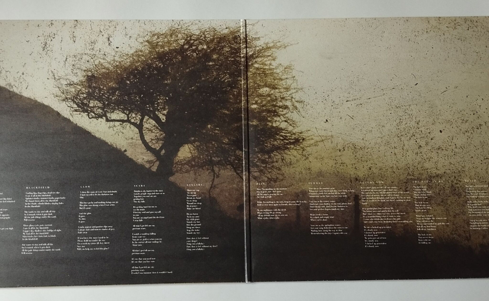 Винтажная виниловая пластинка LP Blackfield (UK 2011) Limited Edition