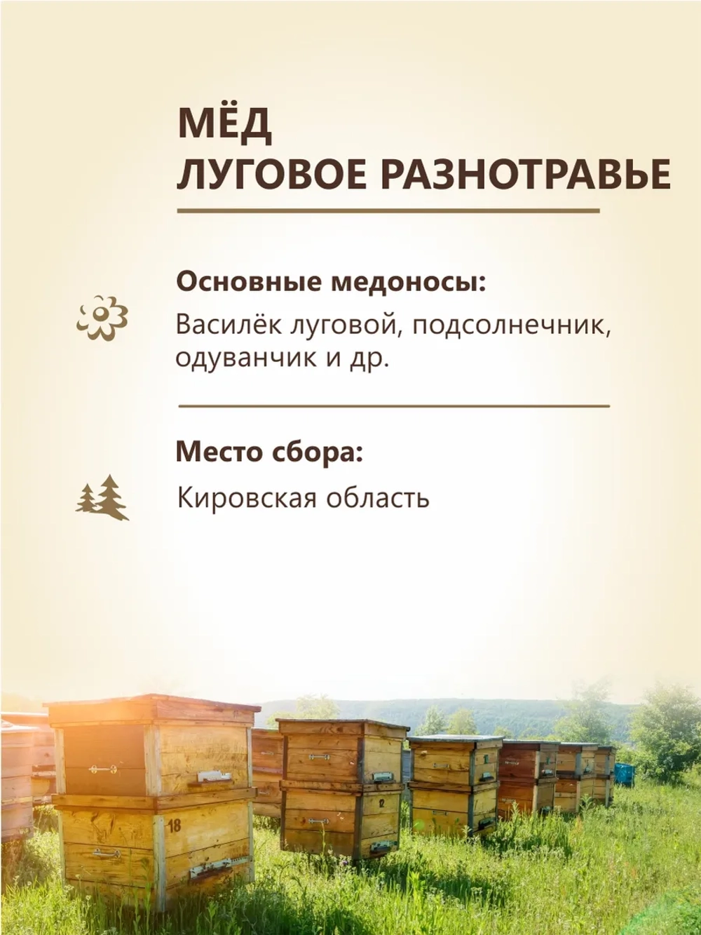 Мед натуральный ассорти 4х500 г