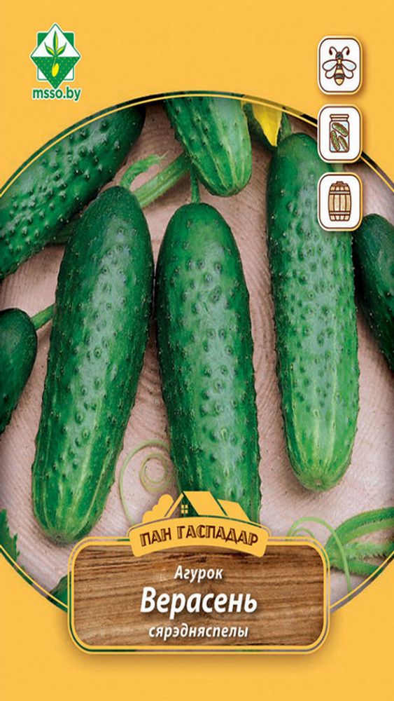 Огурец "Верасень (Пан Гаспадар)" 3г, Молдова.