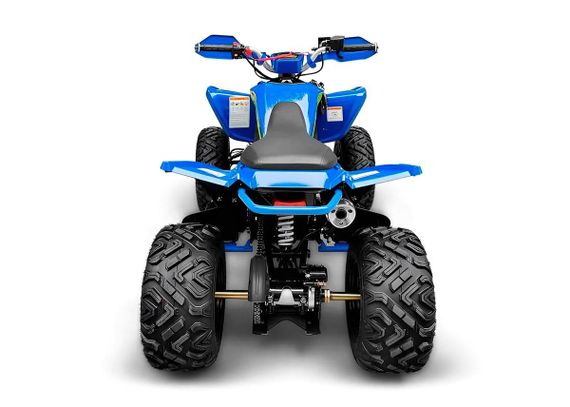 Квадроцикл RACER Typhoon 250