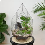 Готовый флорариум бонсай Лигуструм с водопадом Будда Фаберже