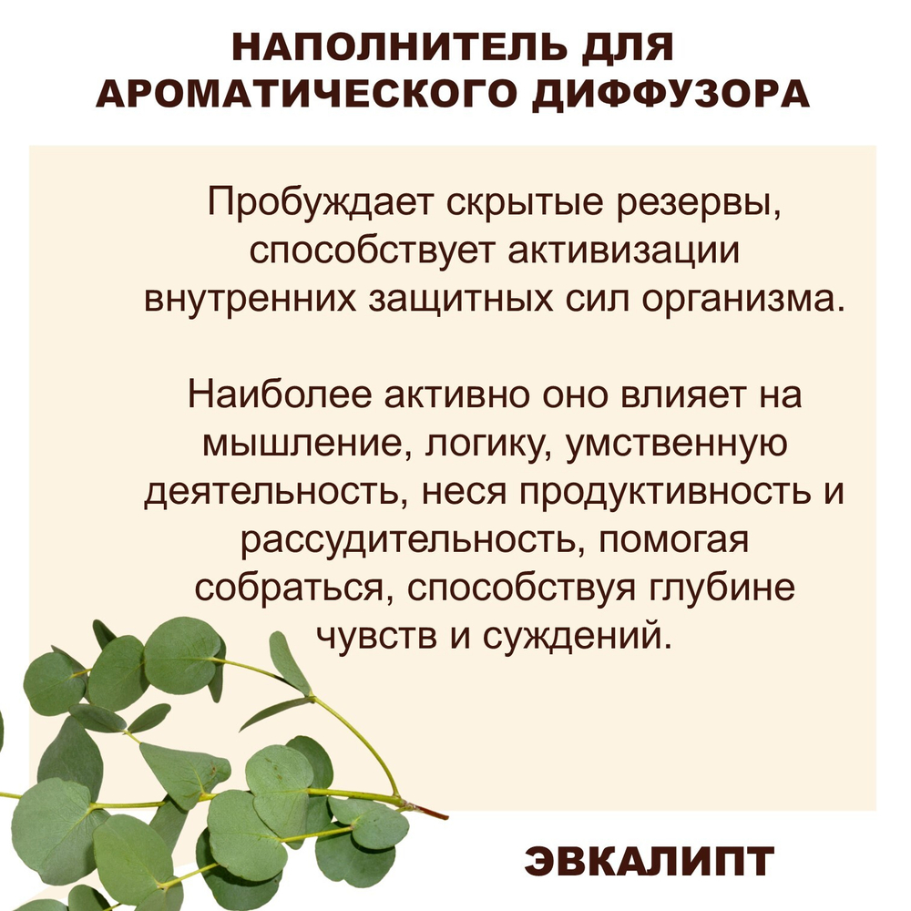 ЭВКАЛИПТ - Наполнитель для ароматического диффузора