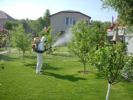 Помощь для Вашего сада