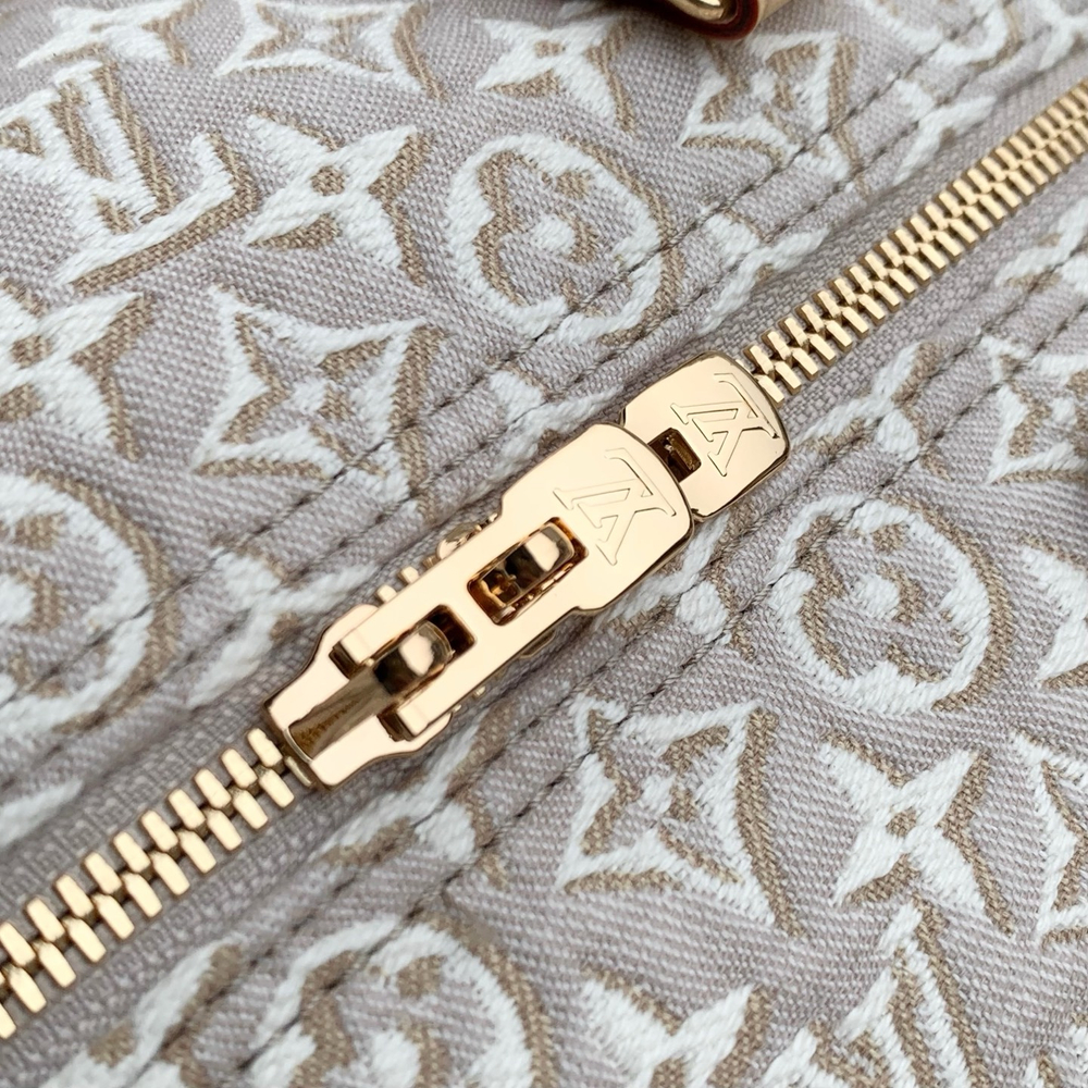 Louis Vuitton Speedy Soft 30